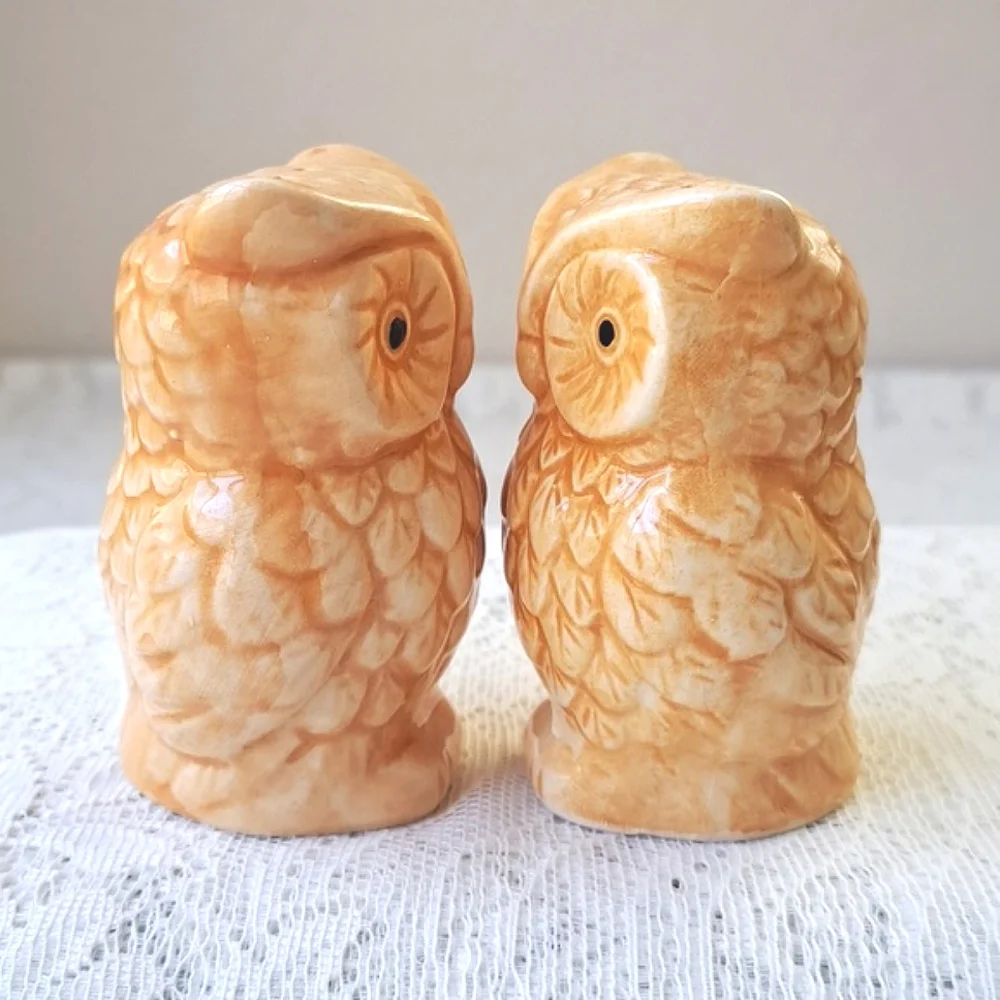 Vintage Pair MCM Handpainted Classic Ceramic Owl Salt & Pepper Shakers Pottery